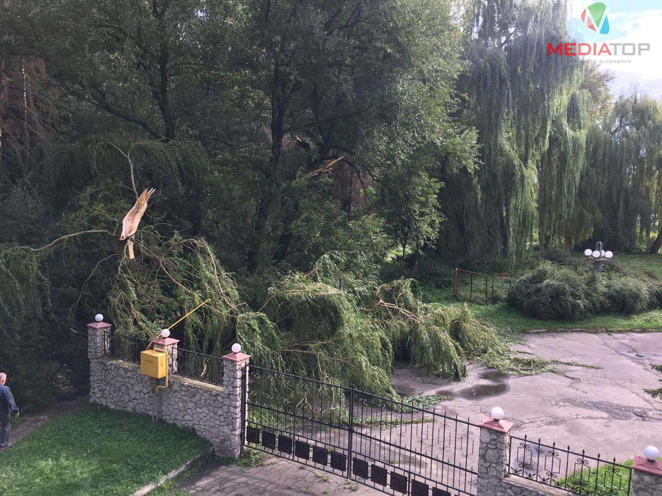Від Тарнополя до Тернополя