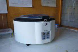 Від Тарнополя до Тернополя