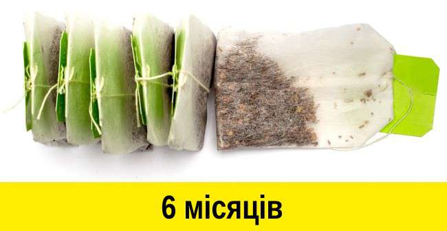 Від Тарнополя до Тернополя