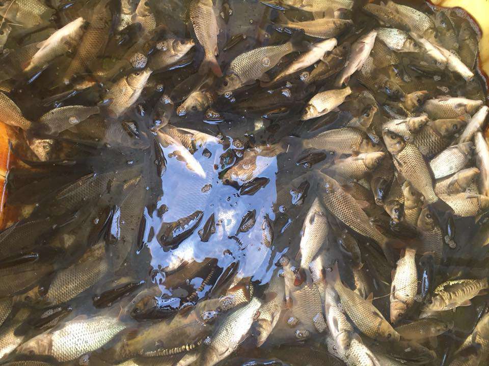 Від Тарнополя до Тернополя