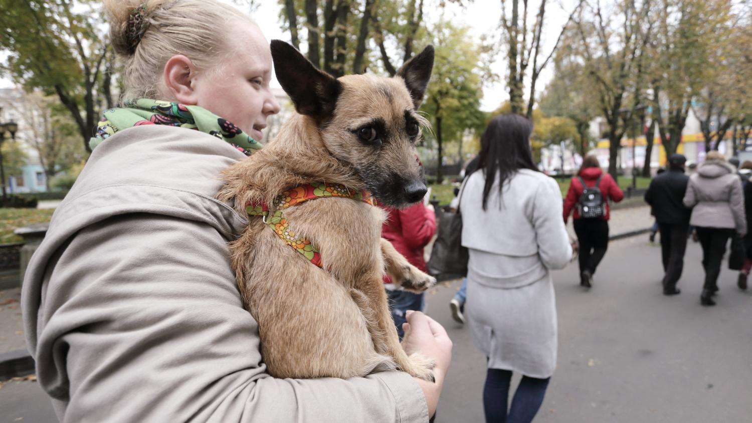 Від Тарнополя до Тернополя