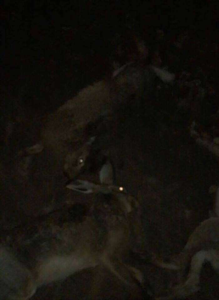Від Тарнополя до Тернополя