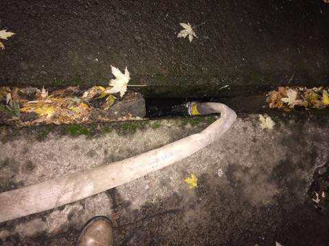 Від Тарнополя до Тернополя