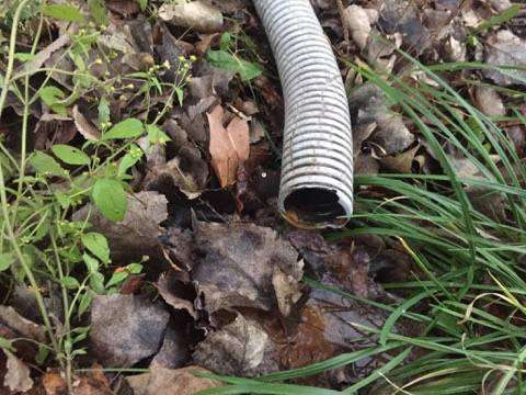 Від Тарнополя до Тернополя