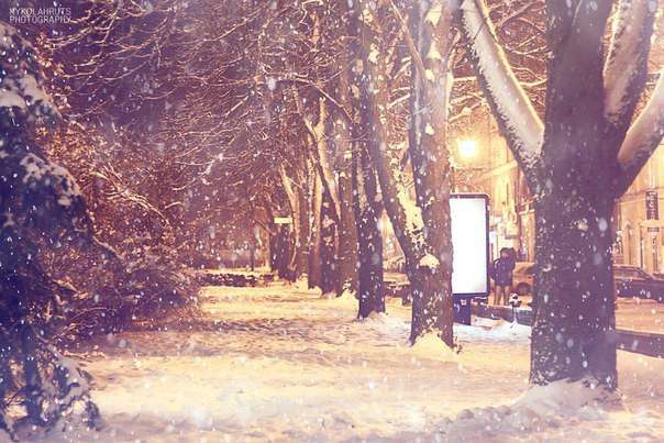 Від Тарнополя до Тернополя