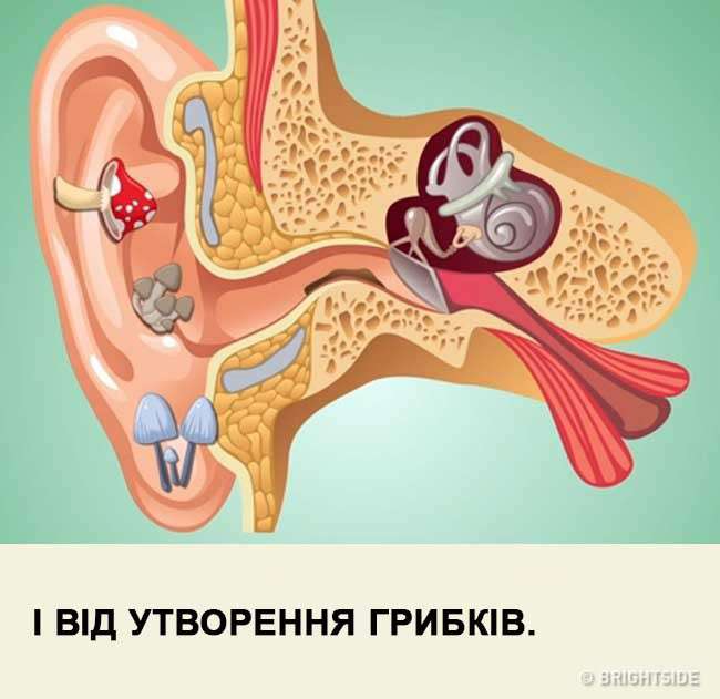 Від Тарнополя до Тернополя