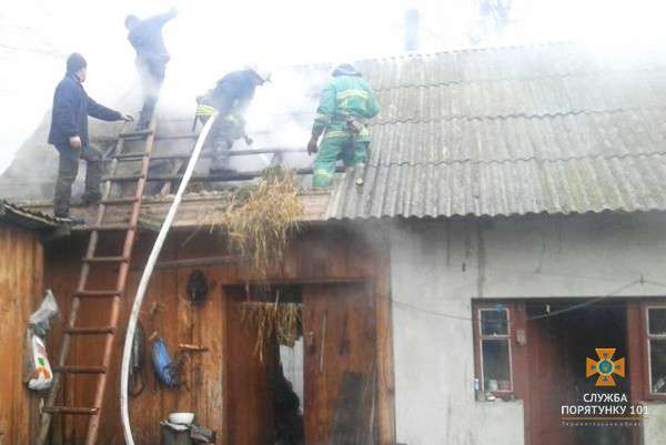 Від Тарнополя до Тернополя