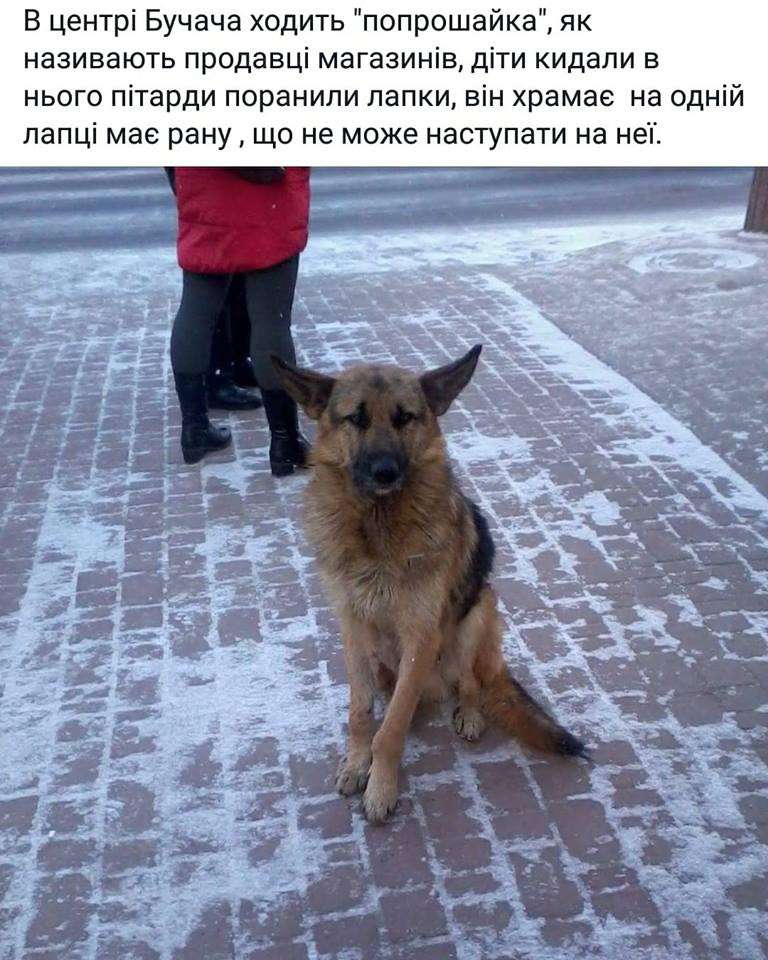 Від Тарнополя до Тернополя