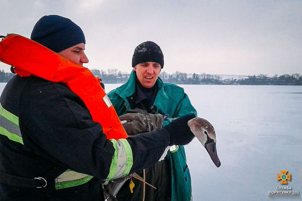 Від Тарнополя до Тернополя