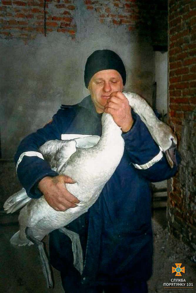 Від Тарнополя до Тернополя