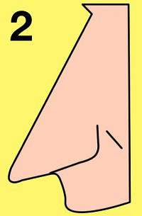 Від Тарнополя до Тернополя