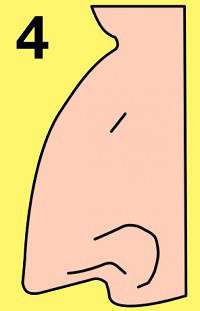 Від Тарнополя до Тернополя