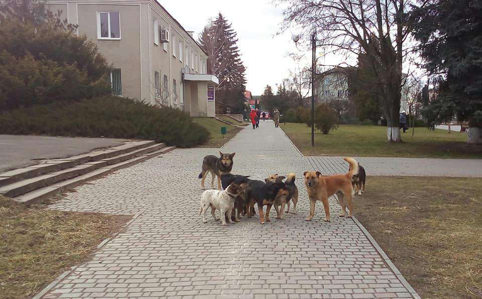 Від Тарнополя до Тернополя