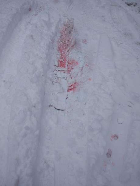 Від Тарнополя до Тернополя