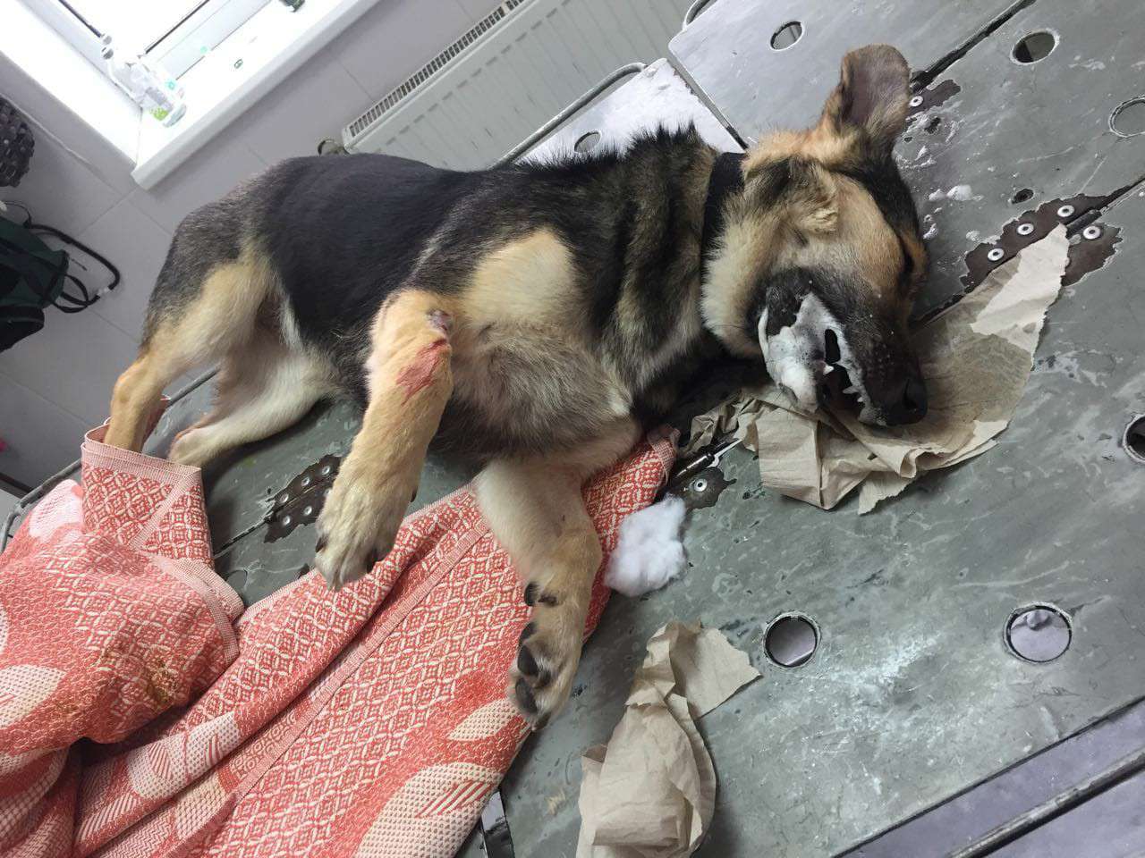 Від Тарнополя до Тернополя