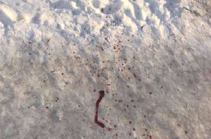 Від Тарнополя до Тернополя