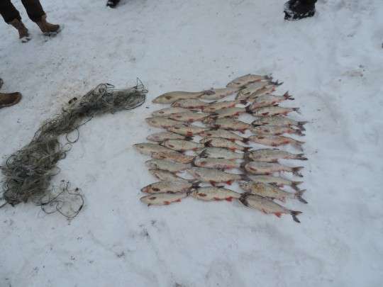 Від Тарнополя до Тернополя