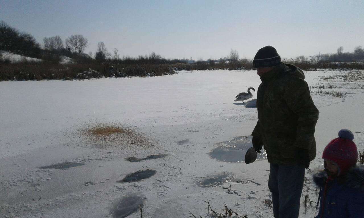 Від Тарнополя до Тернополя