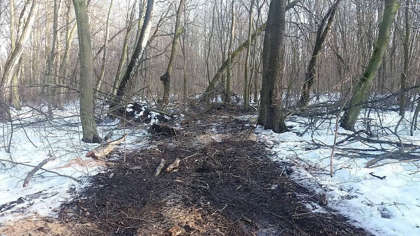 Від Тарнополя до Тернополя