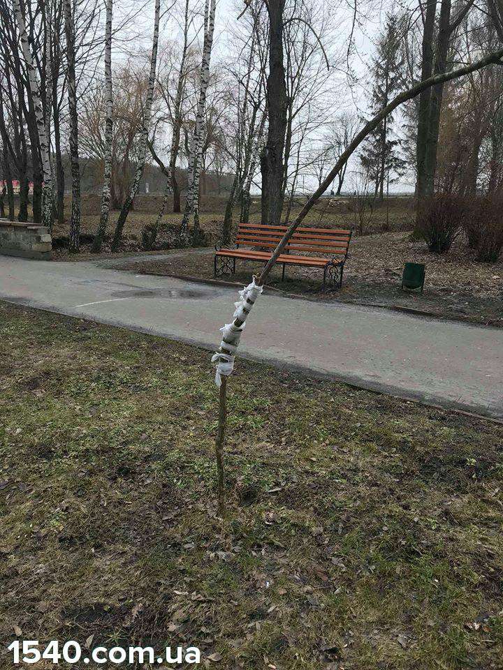 Від Тарнополя до Тернополя