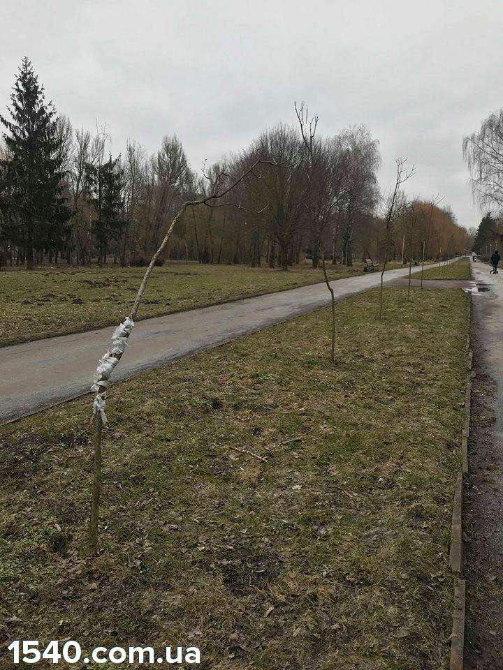 Від Тарнополя до Тернополя