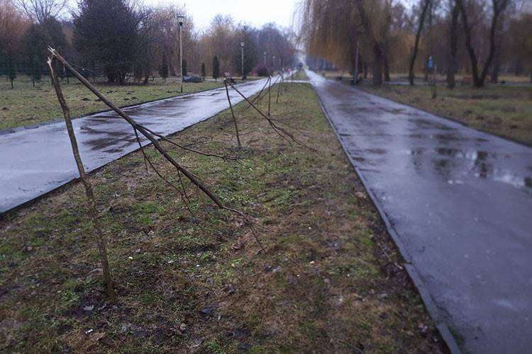Від Тарнополя до Тернополя