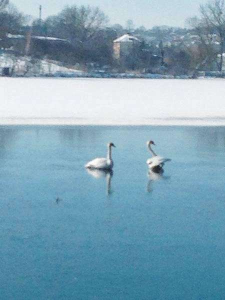 Від Тарнополя до Тернополя
