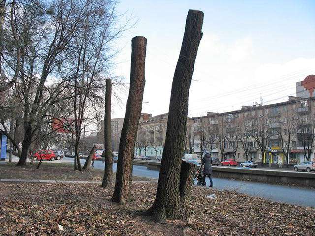 Від Тарнополя до Тернополя