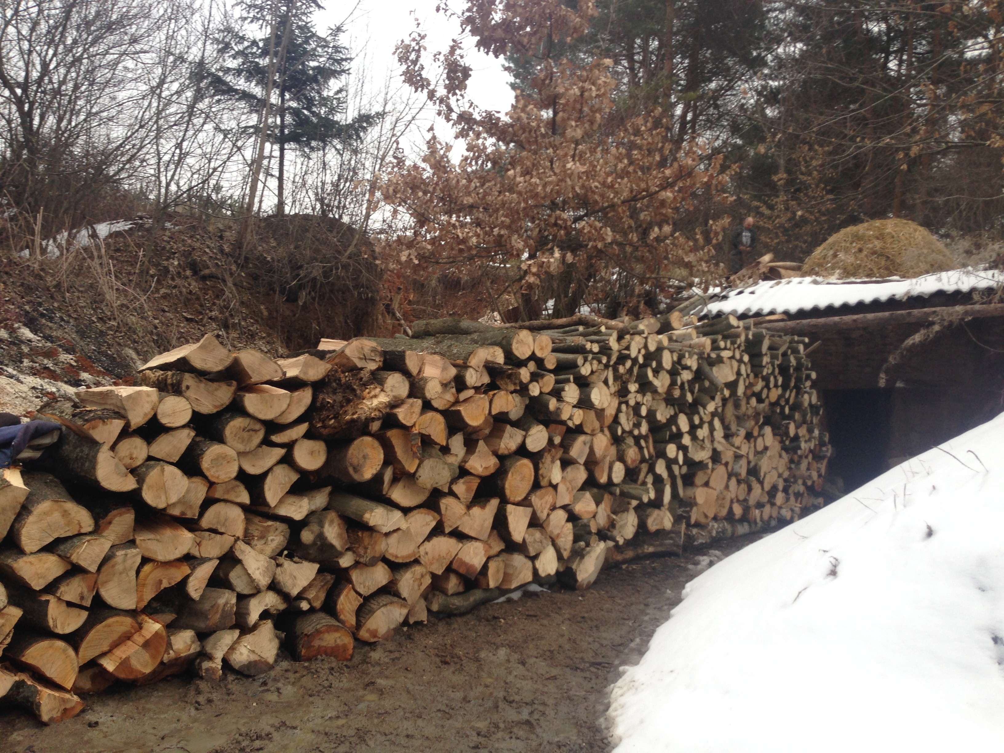 Від Тарнополя до Тернополя
