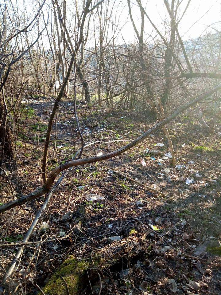 Від Тарнополя до Тернополя