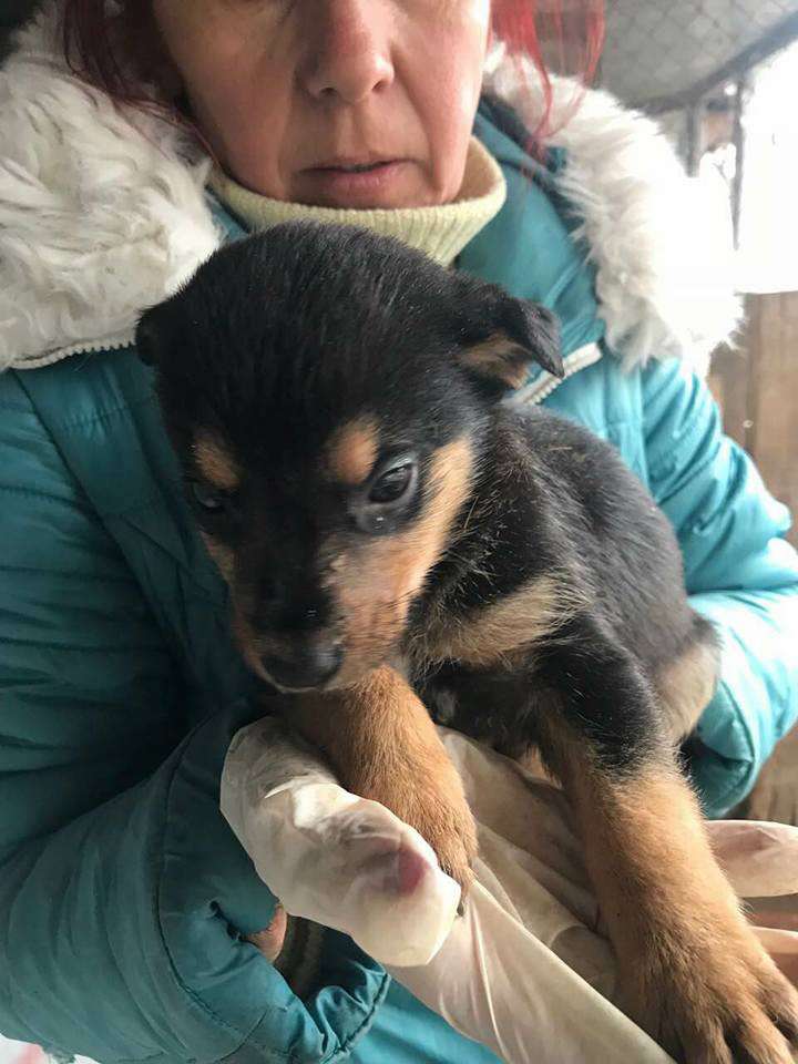 Від Тарнополя до Тернополя