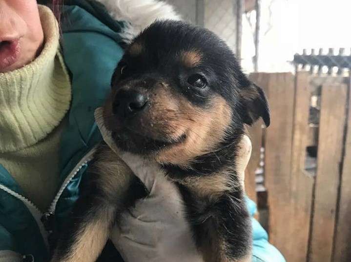 Від Тарнополя до Тернополя