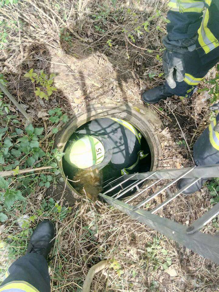 Від Тарнополя до Тернополя