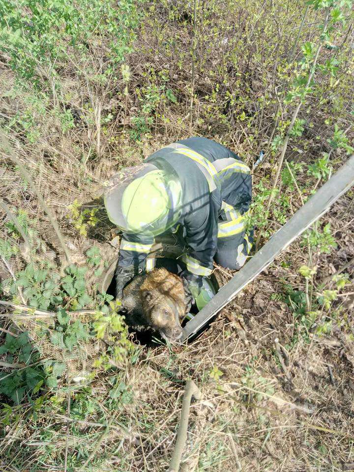 Від Тарнополя до Тернополя