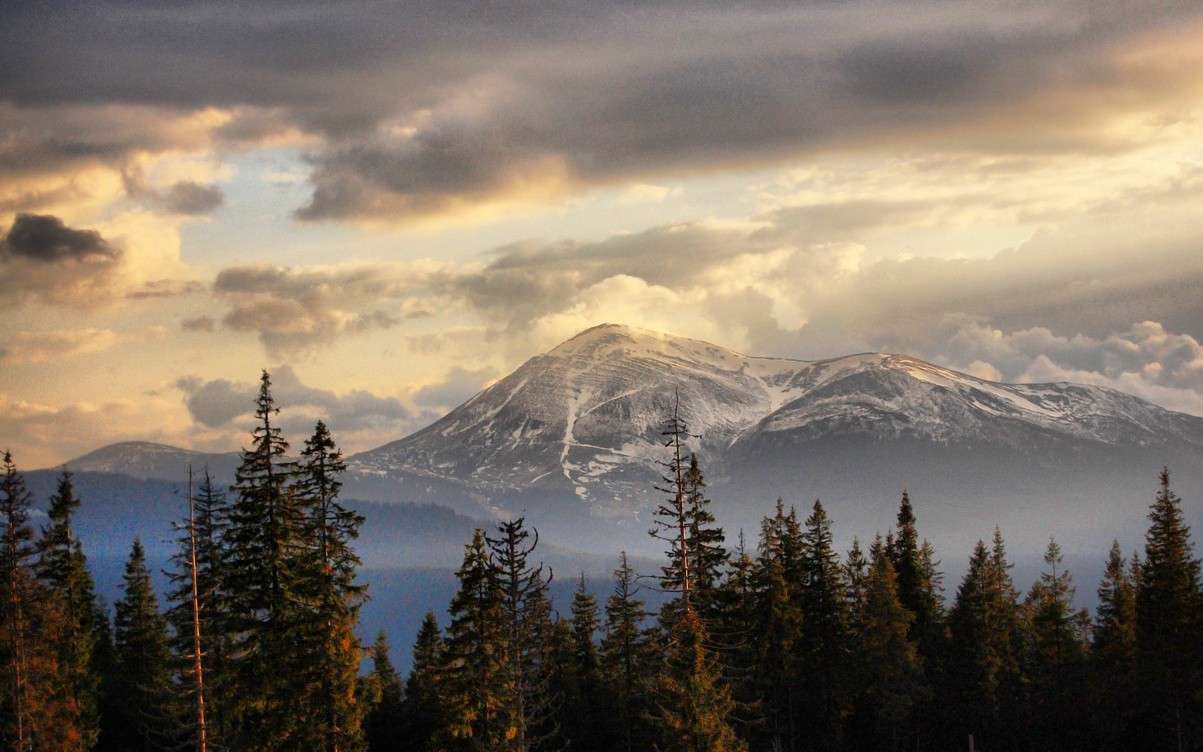 Від Тарнополя до Тернополя