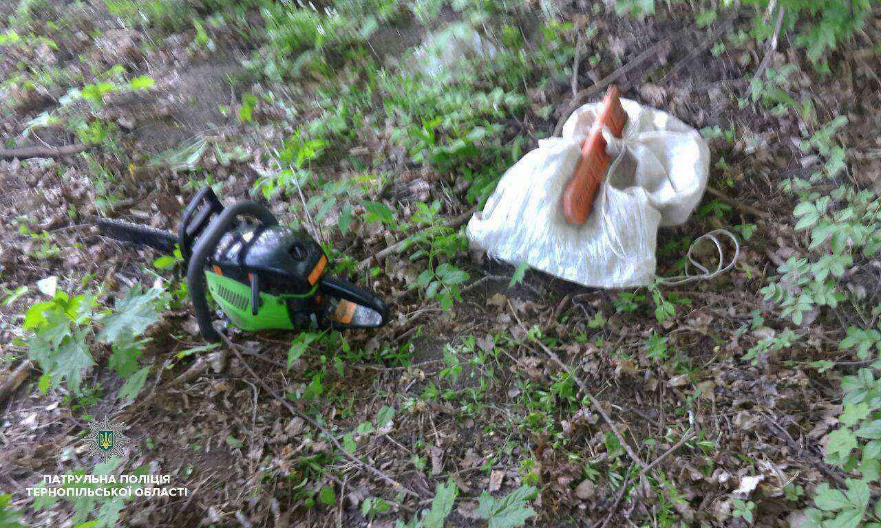 Від Тарнополя до Тернополя