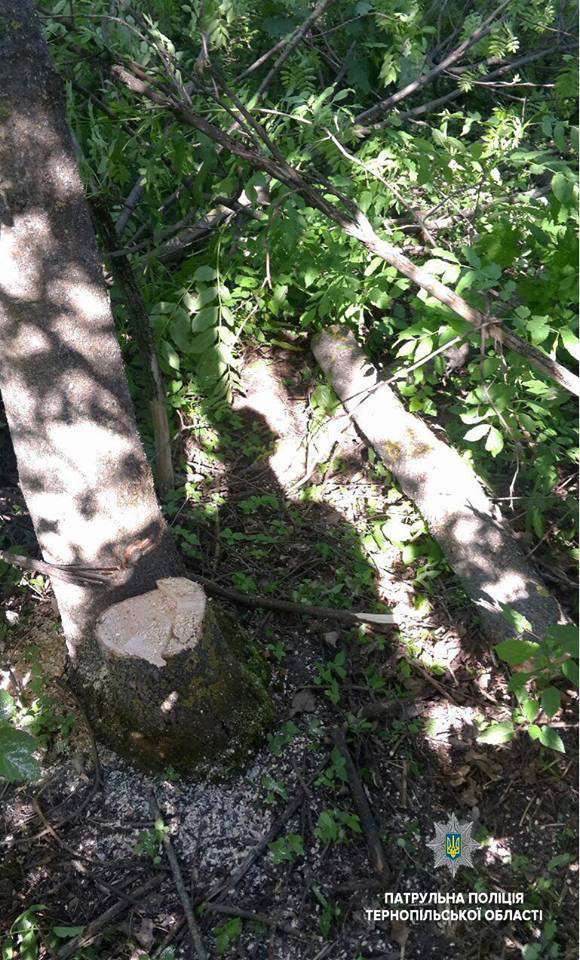 Від Тарнополя до Тернополя