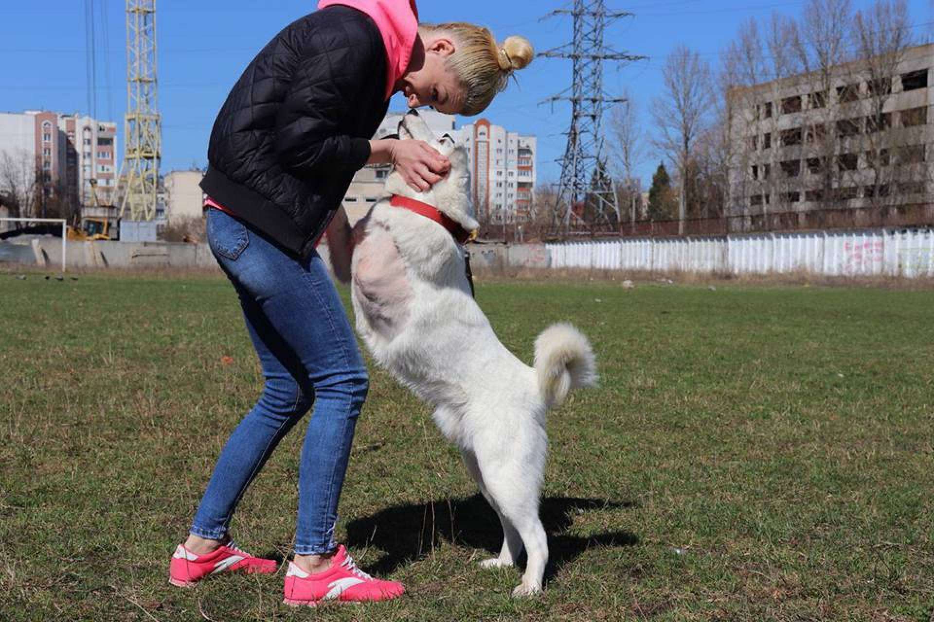 Від Тарнополя до Тернополя