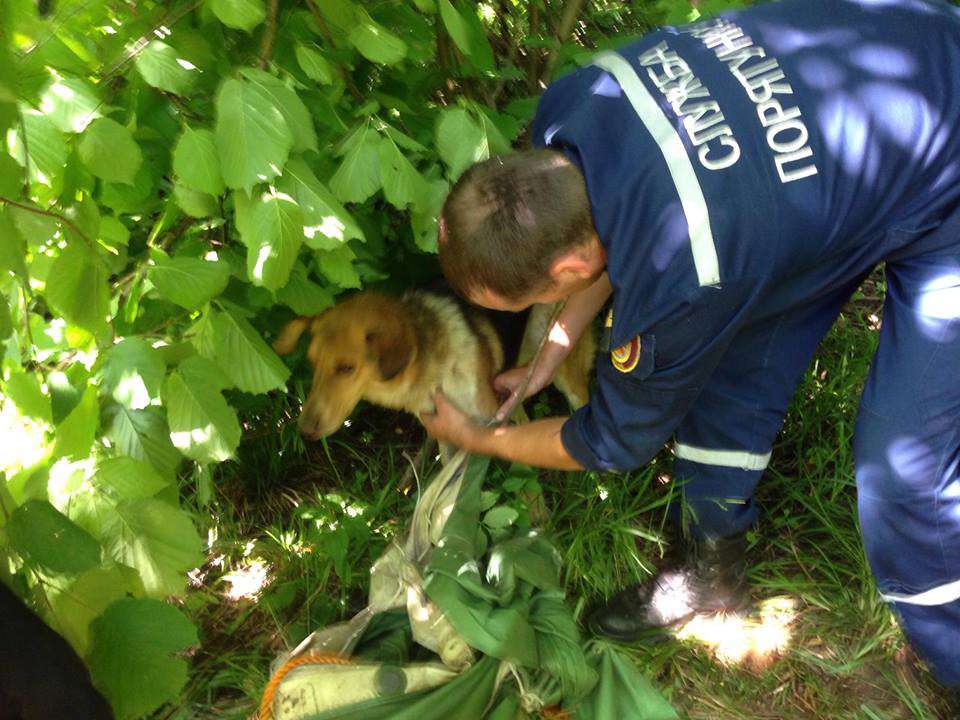 Від Тарнополя до Тернополя