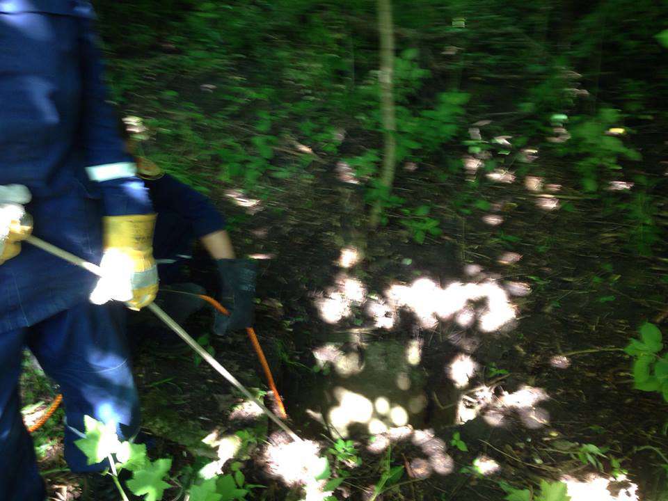 Від Тарнополя до Тернополя