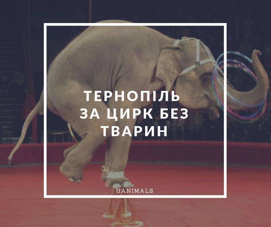 Від Тарнополя до Тернополя