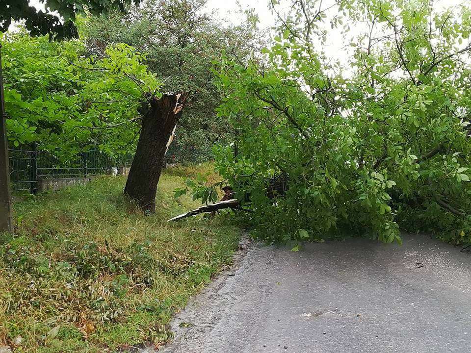 Від Тарнополя до Тернополя