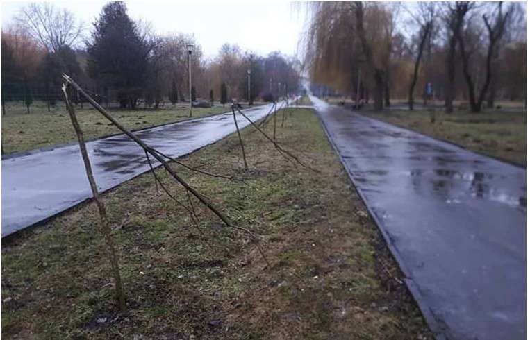 Від Тарнополя до Тернополя
