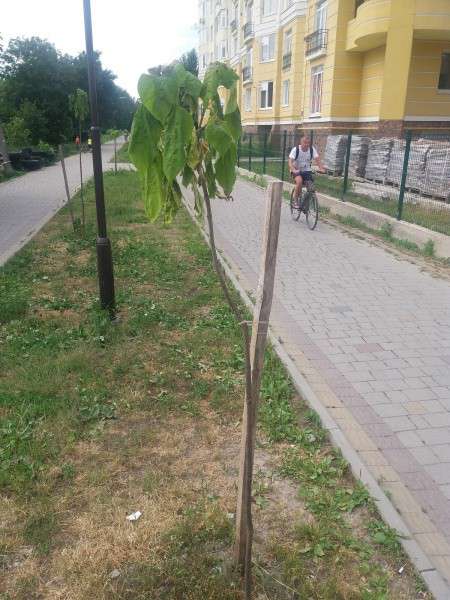Від Тарнополя до Тернополя