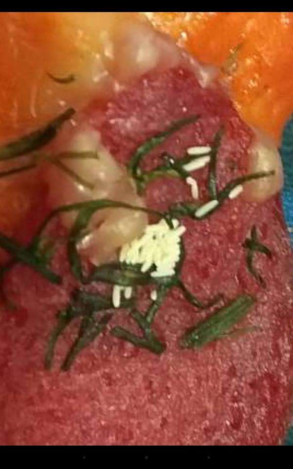 Від Тарнополя до Тернополя