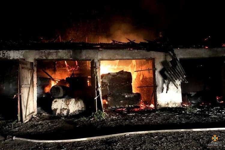 Від Тарнополя до Тернополя