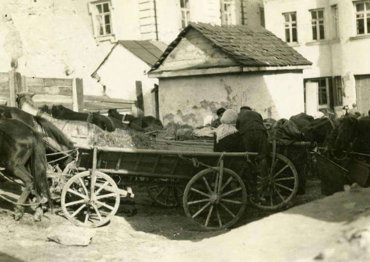 Від Тарнополя до Тернополя