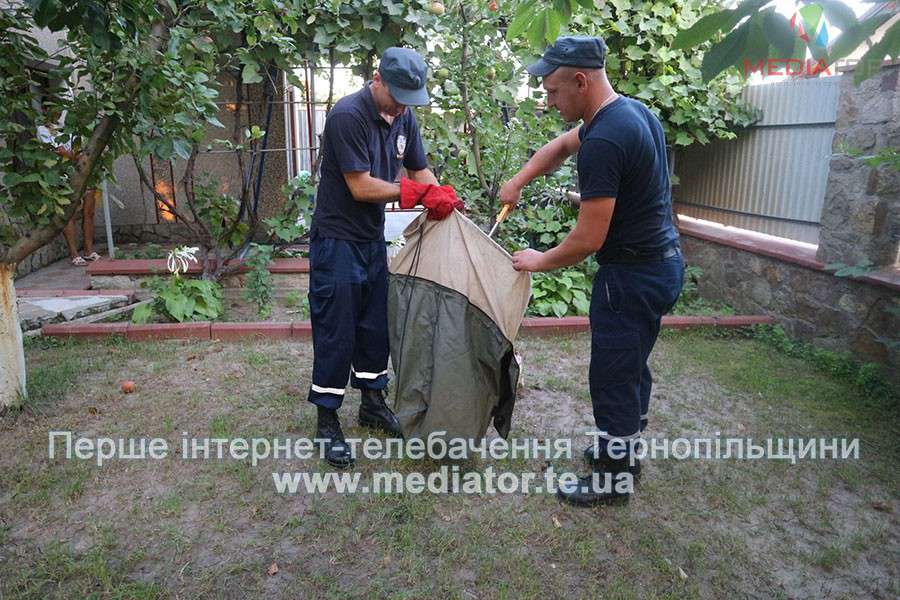 Від Тарнополя до Тернополя