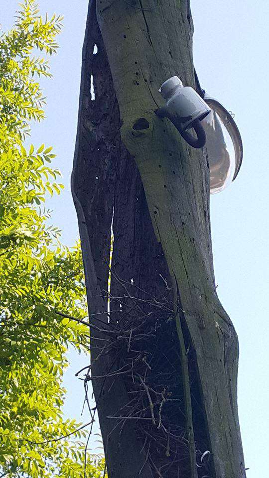 Від Тарнополя до Тернополя