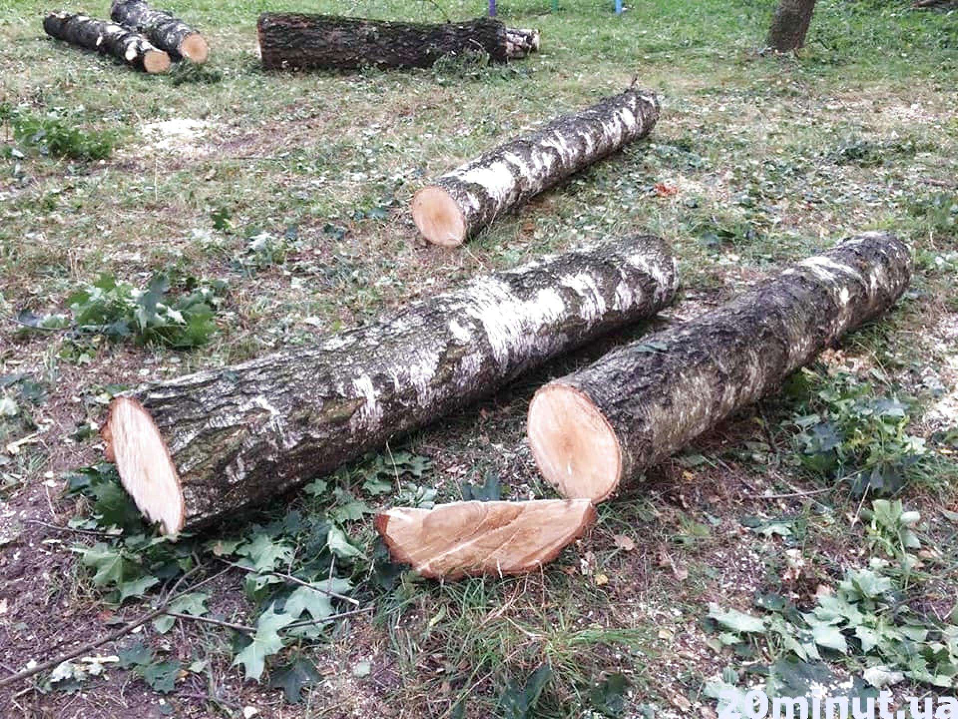 Від Тарнополя до Тернополя